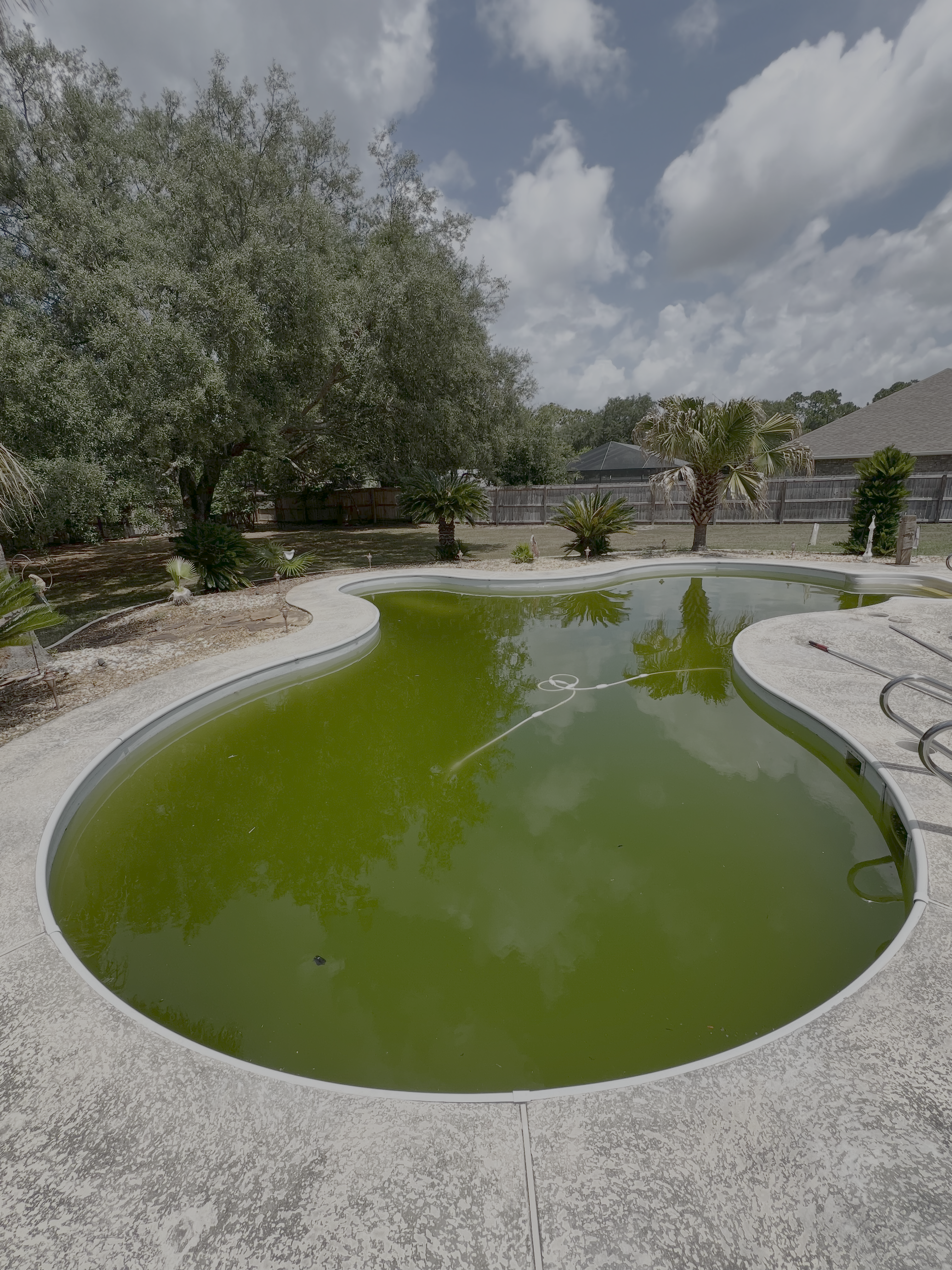 Before: green pool